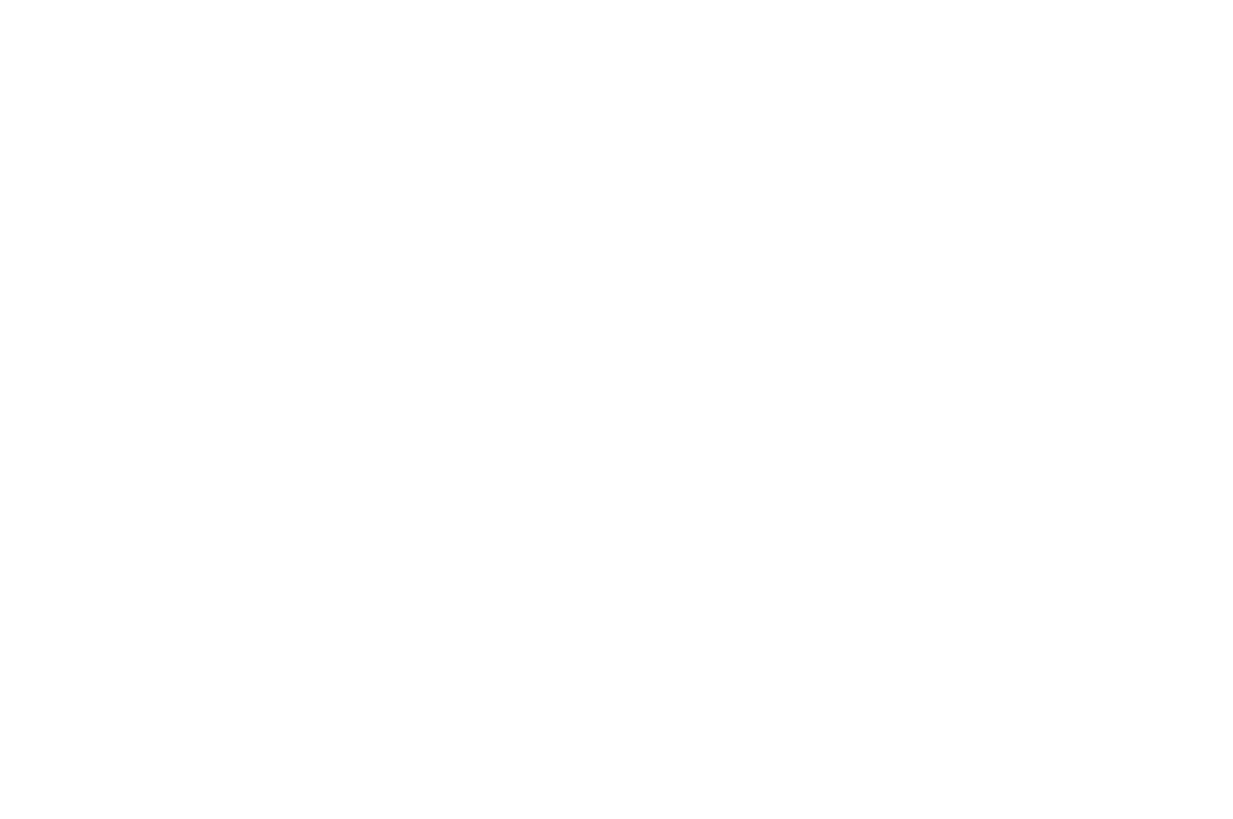 Semi-Finalist - AltFF 2021
